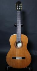 ARIA A-20