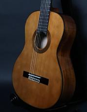 ARIA A-20_2