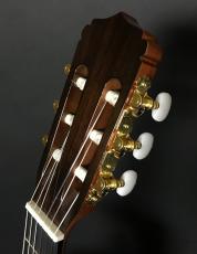 ARIA A-20_4