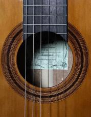 ARIA A-20_5