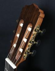 ARIA A-30S_4