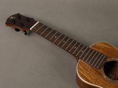 aNueNue AAA1 Soprano_5