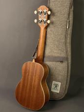 aNueNue US10 BA Soprano_3