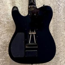 FERNANDES TE-120S HT_2