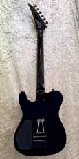 FERNANDES TE-120S HT_4