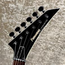 FERNANDES TE-120S HT_5
