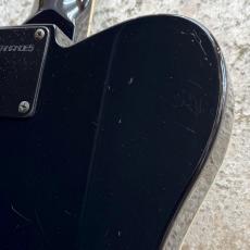 FERNANDES TE-120S HT_6
