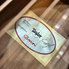 Taylor 【試奏動画あり】GS Mini-e Koa Plus #2203256384【渋みある杢目が際立つ一本】【送料当社負担】【池袋店在庫品】_10