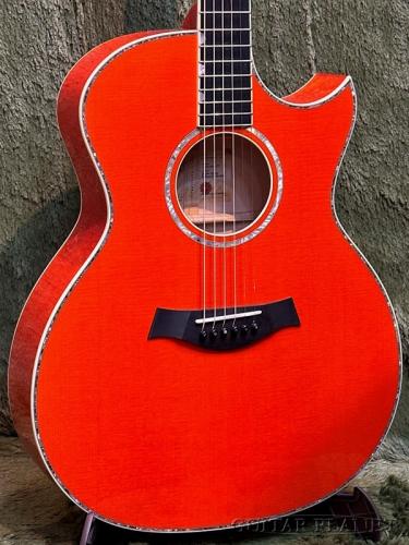 Taylor 【New Model!!】Doyle Dykes Signature Model #1201066077【Claria™搭載】【48回迄金利0%対象】【送料当社負担】
