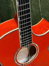 Taylor 【New Model!!】Doyle Dykes Signature Model #1201066077【Claria™搭載】【48回迄金利0%対象】【送料当社負担】_3
