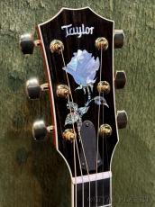 Taylor 【New Model!!】Doyle Dykes Signature Model #1201066077【Claria™搭載】【48回迄金利0%対象】【送料当社負担】_4
