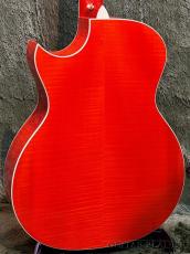 Taylor 【New Model!!】Doyle Dykes Signature Model #1201066077【Claria™搭載】【48回迄金利0%対象】【送料当社負担】_6