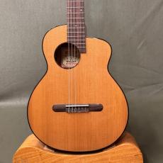aNueNue Bird MN14E