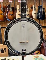Tokai Hummingbird T-800RB_2
