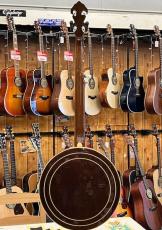 Tokai Hummingbird T-800RB_6