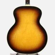 Guild F-50 w/ L.R.Baggs Anthem *2007_10