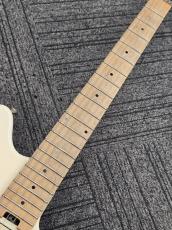 PEAVEY USA Wolfgang Special 【USED】_3