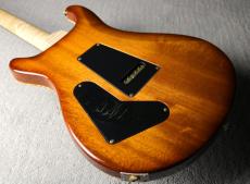 Paul Reed Smith [PRS] 【100本限定モデル!!!!】Custom 24 Experience 2012 Limited -Livingston Lemon Drop-【3.52kg】【USED】_7