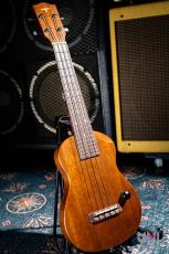 T's EC-100