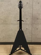 Edwards E-FV-LTD BK [Black]_3