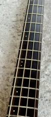 ATLANSIA STEALTH BASS 【3.64kg】_4
