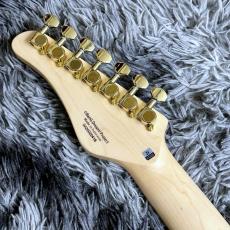 SCHECTER BanG Dream! Collaboration Series BC-AveMujica/Doloris_7