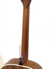 Taylor Gold Label 814e / SB_8