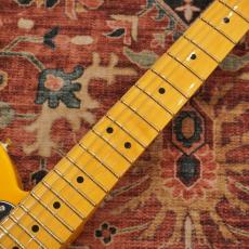 Fender Player II Telecaster, Maple Fingerboard / Butterscotch Blonde 【特価】_5