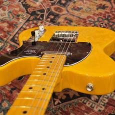 Fender Player II Telecaster, Maple Fingerboard / Butterscotch Blonde 【特価】_10