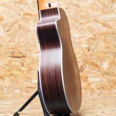 Taylor 214ce RW Special Edition Honeyburst_5