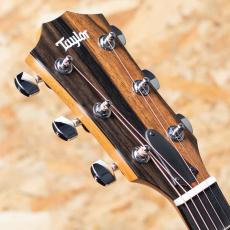 Taylor 214ce RW Special Edition Honeyburst_8