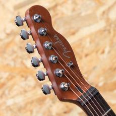 Fender FSR Acoustasonic Standard Telecaster Arctic Gold_8