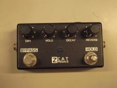 ZCAT HOLD REVERB
