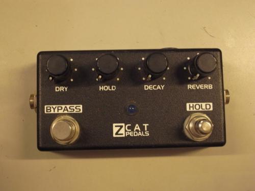 ZCAT HOLD REVERB