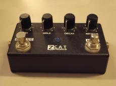 ZCAT HOLD REVERB_2