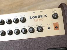 FISHMAN Loudbox Micro_6