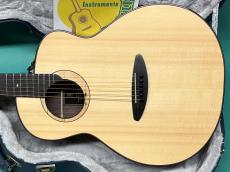 aNueNue aNN-LS600_2