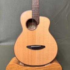 aNueNue Bird M10