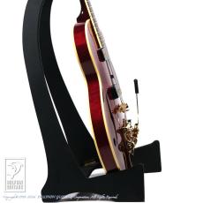 Rozeo Ladybug-CB BG-CTM Bigsby/WR_3