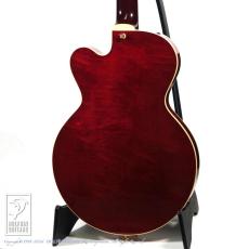 Rozeo Ladybug-CB BG-CTM Bigsby/WR_4