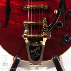 Rozeo Ladybug-CB BG-CTM Bigsby/WR_9
