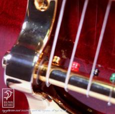 Rozeo Ladybug-CB BG-CTM Bigsby/WR_13