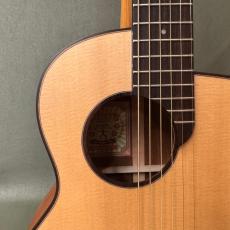 aNueNue Bird M15_2