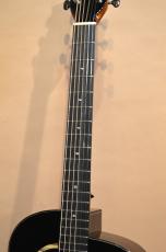 aNueNue aNN-LS600 Limited Black_6