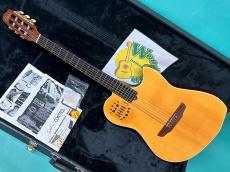 Godin MULTIAC STEEL SA