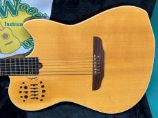 Godin MULTIAC STEEL SA_2