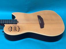 Godin MULTIAC STEEL SA_4