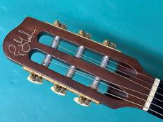 Godin MULTIAC STEEL SA_5