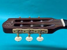 Godin MULTIAC STEEL SA_7