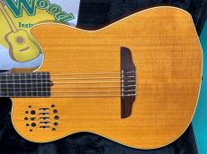 Godin MULTIAC NYLON SA _2